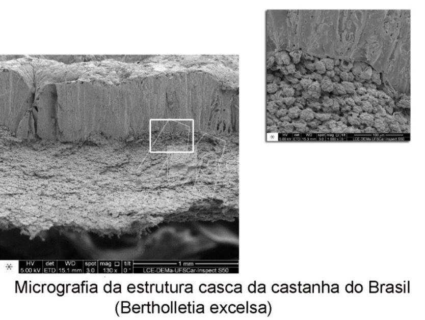 microscopia_eletronica_de_varredura_mev_eds_01